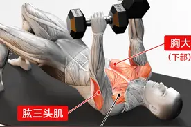 下斜哑铃推胸：针对下胸肌的锻炼方法，打造完美胸肌的奥秘与技巧视频封面