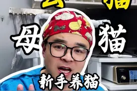 新手养猫，公猫喝母猫的五大区别 #猫咪 #绝育 #科学养宠攻略 #新手养猫 #猫咪绝育视频封面