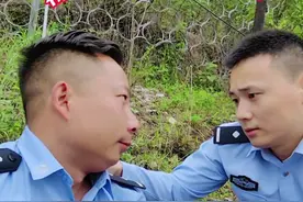 被蛇咬了怎么办？ 这是一条正经的科普#禁毒