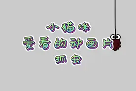 亲测猫咪爱看的动画片，陪毛孩子一起看看吧#猫咪看的动画片