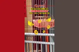 11月20日，上海，对面邻居在阳台上晒钱，“忽然感觉自己压力好大”。网友：风大了能不能掉几张。#炫富 视频封面