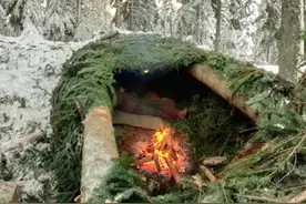 冰天雪地中筑起巨型鸟窝，让寒风无处遁形，荒野界最顶级的庇护所视频封面