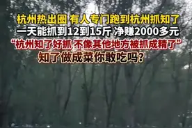 赚钱新赛道，网友专程跑来杭州抓知了，一天能抓将近2000只，知了能卖100块一斤！#抓知了猴的季节到了 #村民抓知了猴日收入过万 #赚钱