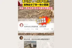 物业给业主分菜地啦！春天到了，种点啥呢？……#新鲜事 #有才 #春天的味道 （来源：收手吧阿茹）视频封面
