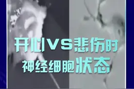 你的身体比任何人都爱你？开心VS悲伤时神经细胞状态 你知道你的身体比任何人都爱你吗？当人在悲伤时，关于痛苦记忆的神经细胞，会慢慢凋亡，因伤痛延伸的突触连接，也会随之消失。而当人在开心的时候，则会处于活跃状态，每个神经细胞都像个孩子般在跳动！身体能感受到你的情绪，所以无论发生什么，请调整心态，去拥抱开心和快乐！#你知道你的身体有多爱你吗 #生命缘视频封面