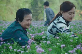 草籽花又名紫云英，你们吃过吗？#跟着抖音学做菜 #春日美食大赏 #春天变美从吃开始 视频封面