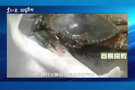【今年秋台风有点猛！台风吹上岸的那些海鲜，能放心捡来吃吗｜#这时乡村 】台风吹上岸的海鲜，有被细菌、病毒、寄生虫和近岸污染物附着的风险，不建议食用。