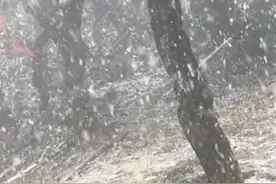 新一波冷空气来势汹汹！#云南多地下雪了，昆明：轮到我的时候，还请一视同仁！ #冷空气视频封面