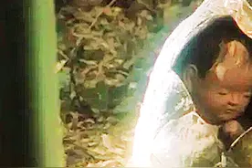 农民在深山捡到一枚石头蛋，里面竟蹦出一位绝世美少女 #电影解说视频封面