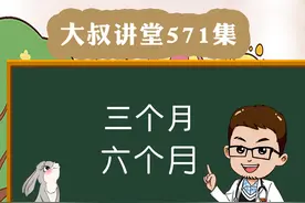 兔子几个月开始磨牙？几个月开始发情？几个月成年？#宠物兔