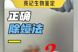 我倒要看看怎么除蟑螂才算对 #巴斯夫蟑螂药 #巴斯夫杀虫剂