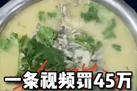 一条视频罚45万？权力不能如此任性！ 中央三令五申要营造公平、透明、法治的营商环境，给市场主体以确定性，各级政府部门、执法机关都应严格落实。类似“一朝权在手、便把令来行”的任性做法，不仅有损党政机关形象，更有滥用职权之嫌。#饭店 #罚款 #通报