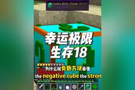 为什么负数方块这么厉害，幸运极限生存18 #叶枫的日常 #我的世界