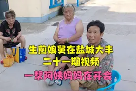 上海的飞地大丰农场，阿姨们说这里比上海好，而且是个风水宝地视频封面