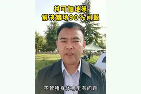 林可加地米解决猪场90%问题#养猪 #养猪技术 #养猪知识 #猪病 #猪病防控视频封面