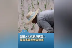 全国人大代表卢庆国：建议降低新农合缴费标准，提高农民养老金标准 #新质向未来视频封面