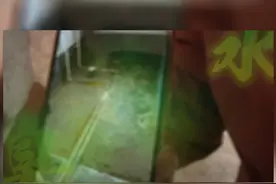 200万买婚房 结果成了“粪水池”“满屋都是大便小便的臭水 恶心想吐”#都市接到办 #河南dou知道 #婚房 #媒体精选计划