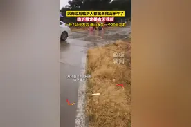 大雨过后临沂人都出来找“山水牛”了，一斤750元左右，妥妥临沂限定美食天花板了！