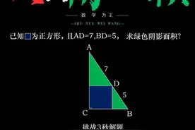 一秒转出阴影面积！ #数学 #数学思维 #趣味数学 #小学数学 #小学奥数视频封面