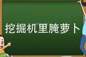 挖掘机里腌萝卜 #搞笑配音 #鬼畜 #挖掘机里腌萝卜