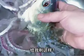 鱼：想吃鱿鱼章鱼自己买呀。 #这是什么鱼 #搞笑配音 #鱼🐠 #看一次笑一次