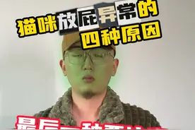 没错，猫也会放屁！4种猫咪放屁异常的原因 #科学养宠攻略 #科学养猫 #新手养猫 #养猫进阶指南 #猫放屁