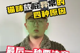 没错，猫也会放屁！4种猫咪放屁异常的原因 #科学养宠攻略 #科学养猫 #新手养猫 #养猫进阶指南 #猫放屁