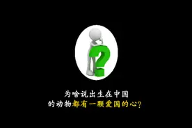 为啥说出生在中国的动物，都有一颗爱国的心？#冷知识视频封面