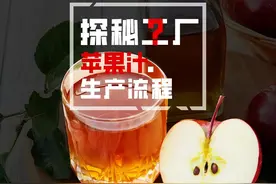 揭秘苹果工厂生产流程 #苹果 #苹果汁 #自制饮品 #食品工厂视频封面