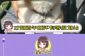 才知道午睡还有等级划分...#午睡 #等级划分 #真实