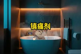 当我晚上洗澡时用多种声线练歌……#猫meme