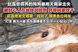9月16日，四川成都，#网友捡到赵露思的狗狗 ，#赵露思回应狗狗被网友捡到  ：找到了，感恩各位网友。