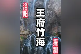 这是河南不像河南的地方#我被王府竹海的瀑布震撼了 #万物皆可种草搜