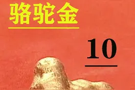 黑社会很鼻蹭，冲进医院围殴黄金缉私队，结局非常舒适 #陕普解说