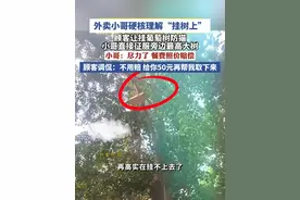 外卖小哥硬核理解“挂树上”视频封面