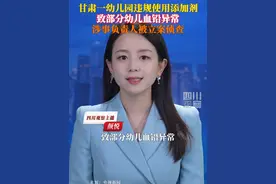 7月3日据央视新闻，甘肃一幼儿园违规使用添加剂致部分幼儿血铅异常，涉事负责人被立案侦查，对负有监管责任的相关部门将严肃追责。
