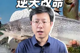 新疆离海最远，居然盛产海鲜，到底做对了什么？ #新疆 #海鲜 #养殖 #沙漠视频封面