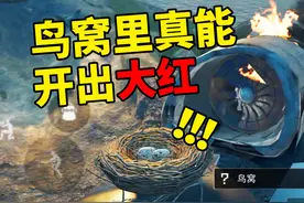 三角洲行动:鸟窝里也能开出大红