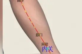 八脉交会八穴歌诀 #医学科普 #经络穴位 #针灸学习 #每天跟我涨知识视频封面