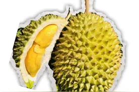 夏天的路边藏着榴莲刺客？摊主低价狂卖却强扣壳子！网友：榴莲壳里藏了啥见不得光的？