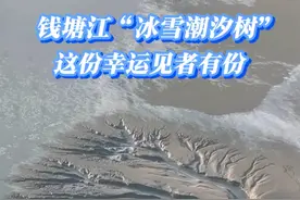 钱塘江现“冰雪潮汐树”奇观 ，这份幸运见者有份~1月17日（发布）浙江嘉兴海宁 #浙江dou知道 @抖音短视频视频封面