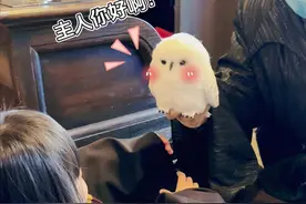 第一次带姐妹冲环球！她们的过山车反应太真实了…🎢 #带娃旅行 #威震天话唠 #环球影城 #姐妹日常 #骗你生女儿视频封面