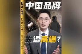 凭什么越贵的东西中国越没有定义权？ #高梵未来羊毛鹅绒服   #杨幂同款鹅绒服高梵视频封面