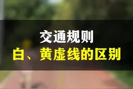白色虚线和黄色虚线不知道区别在哪？看这里看这里 #新手上路 #交通规则 #路面标线 #每天一个用车知识