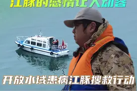 哪怕只有1%的希望，也要尽100%的努力！ 这条视频拍摄于两天前，当时我们一位老师记录下来了患病江豚的截至目前的最后影像，也记录到它的家人对他不离不弃，生死守望的感人一刻，令我久久难以忘怀，江豚作为长江顶级生命，他有着与我们相似的社会结构，家族关系和同伴间的感情。#人与自然 #江豚 #万物皆有灵性 @无穷小亮的科普日常视频封面