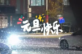 辽宁武警永远忠诚守护~元旦快乐~ #2025（作者：唐福旭  金禹存）视频封面