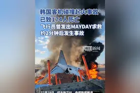 韩国客机碰撞起火事故已致174人死亡，飞行员曾发出“MAYDAY”求救，约2分钟后发生事故视频封面