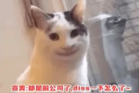 你别说#宣美 #bambam 还挺有缘~之前是jyp的，现在又进了同一家公司视频封面