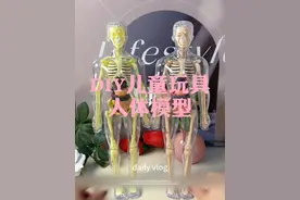 孩子自己diy的#人体模型玩具，满足孩子对身体的好奇心，让孩子认识自己身体，学会好好爱惜身体#儿童益智  #手工diy #让孩子远离手机 #家长必读 #儿童玩具