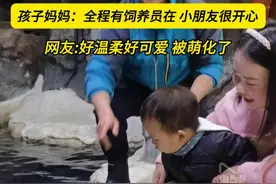 #人类幼崽被白鲸突然亲吻后懵了  孩子妈妈：全程有饲养员在 小朋友很开心